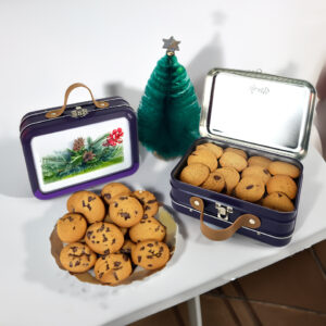 Food grade rectangular biscuit tin box with latch