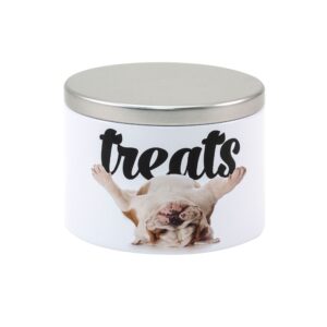 How many tins of cat food per day?